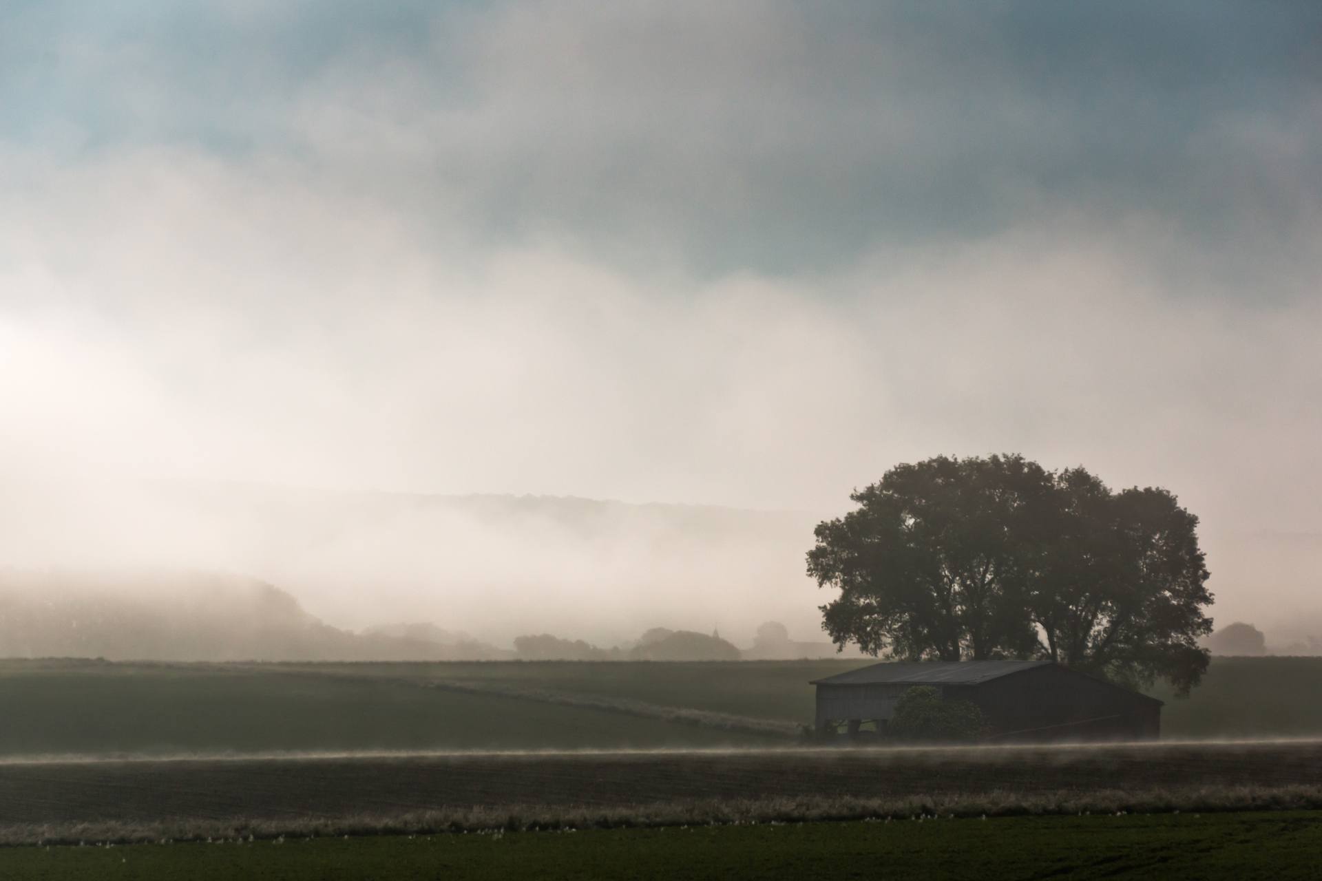 Feldscheune mit Baum im Morgennebel – mb-immowert Immobilienbewertung